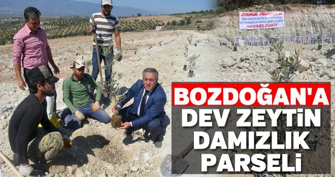 Kanal Ege 27 Mart 2019